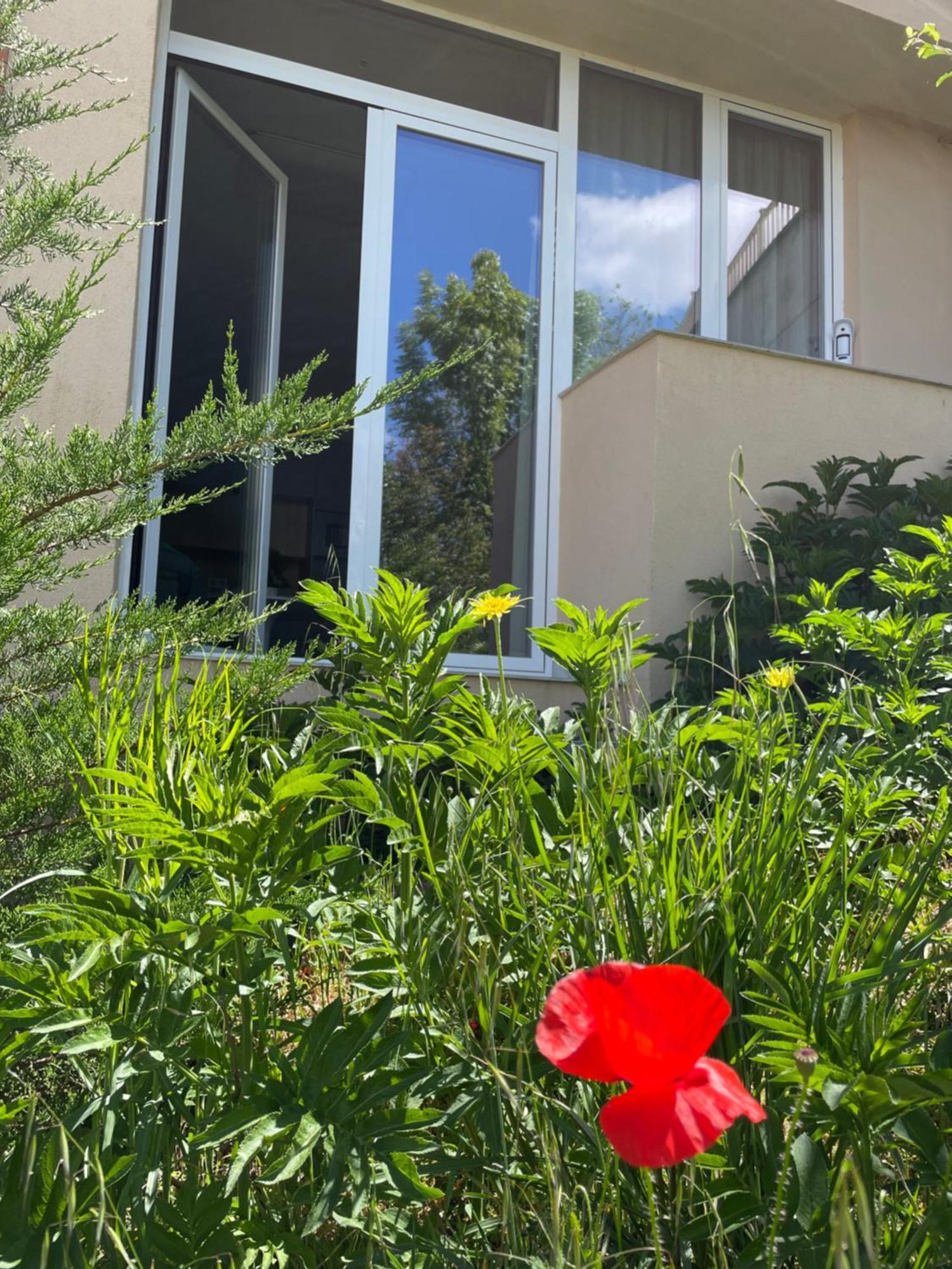 Aljama Burgos Aparthotel Bagian luar foto