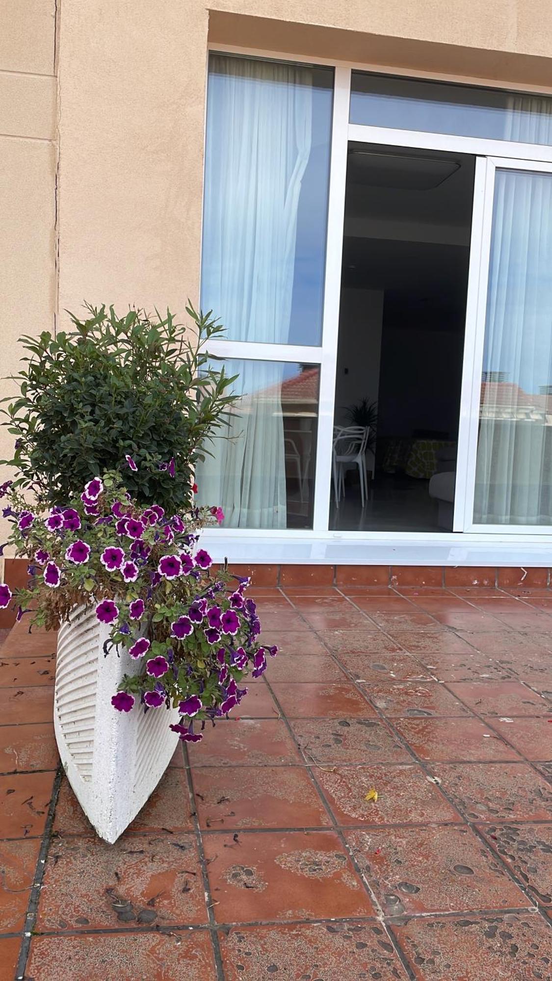 Aljama Burgos Aparthotel Bagian luar foto